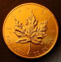 Kanada 1979. 50$ Au "Elizabeth II" 31,103g T:BU