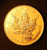 Kanada 1999. 50$ Au "Elizabeth II - 20 years" 31,103g T:BU