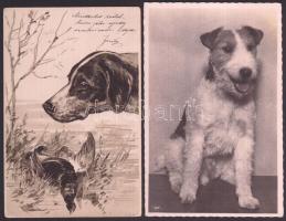 Kutyák - 4 db régi motívumlap, köztük 2 litho