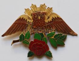 Dekoratív zománcozott "Schlaraffia" jelvény, néhol a zománc lepattogzott