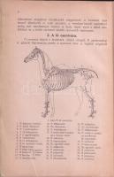 1922 Lótenyésztés I-II. kötet, írta Döhrmann Henrik méneskari nyugalmazott magyar királyi ezredes, ö...