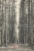 Barlangliget Ivánka way