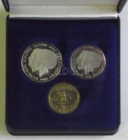 Hollandia 1980. 1G + 2 1/2G + zseton "Beatrix királynő" szettben T:PP Díszdobozban, tanúsítvánnyal!