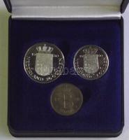 Hollandia 1980. 1G + 2 1/2G + zseton "Beatrix királynő" szettben T:PP Díszdobozban, tanúsí...