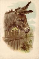 Donkey litho (EK)