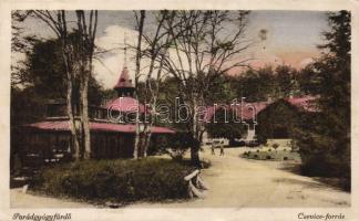 Parádfürdő Cevice-forrás