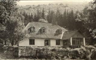 Börzsöny Kámori vadászlak photo