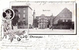 1899 Dessau castle