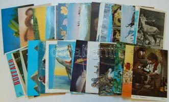 42 db modern Állatos képeslap, sok postatiszta, köztük dimenziós lapok / 45 mainly unused Animal cards