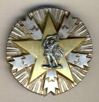 Szerbia 1945. Nemzeti Érdemrend másodosztályú ezüst kitüntetés eredeti adományozói dísztokban T:2