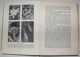 Raoul France: A növények élete, Dante é.n. gazdag képanyaggal. Félvászon kötésben (kötés egy helyen ...