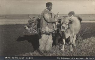 Bulgarian peasant around Sofia