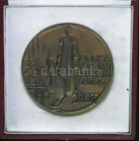 DN "Munkavédelmi Tevékenységért" járó SZOT-Díj nagyalakú Br plakett eredeti díszdobozban gravírozva a hátoldalon T:1