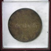 DN "Munkavédelmi Tevékenységért" járó SZOT-Díj nagyalakú Br plakett eredeti díszdobozban g...