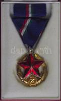 Közbiztonsági Érem arany fokozata a rendőrség tagjai részére, szalagsávval eredeti dísztokban  T:1