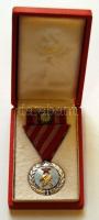 1957-. Munka Érdemérem szalagsávval, eredeti dísztokban T:1