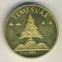 1989. "Erdély - Temesvár" aranyozott emlékérem T:PP