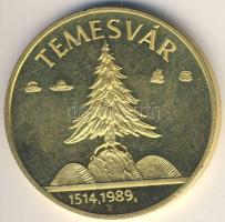 1989. "Erdély - Temesvár" aranyozott emlékérem T:PP