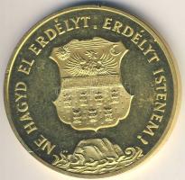 1989. "Erdély - Temesvár" aranyozott emlékérem T:PP