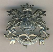 Német Államok/Szilézia/Breslau DN "Section Breslau Ostd.Gastwirts Verb." kitűző T:1 / German States/ Silesia/Breslau "Section Breslau Ostd.Gastwirts Verb." pin