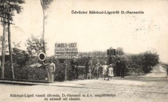 Dunaharaszti Rákóczi-liget vasútállomás