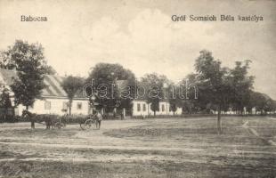 Babocsa Gróf Somsich Béla kastélya (fa)