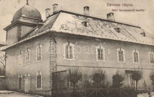 Sály Báró Seckensdorff-kastély