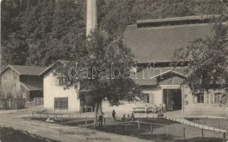 Tomest glass factory (EK)