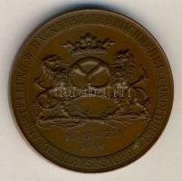 Német Birodalom/Császárság/Bajorország 1894. "Nürnberg-péksütemény, mézeskalács, cukrász,fogyasztási cikk kiállítás 1894. 10-17. Juni" Br emlékérem szign.:LAUER T:2/German Empire/Bavaria 1894. "Nuremberg-exhibition bakery,gingerbread,confectionery,consumer goods 1894. 10-17. June" Br medallion sign.LAUER T:2