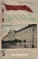 Lugos County hall (cut)