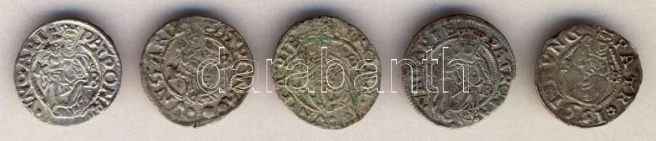 ~1550. 5db klf Habsburg dénár T:vegyes