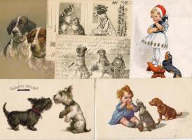 6 db kutya vegyes lap