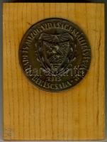 Kiss Nagy András 1973. Békéscsabai Ipari és Mezőgazdasági Kiállítás és Vásár Br emlékplakett T:1-