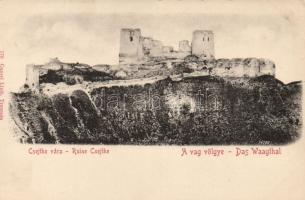 Csejte castle ruins (cut)