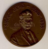 1935. "Dr. Sipőcz Jenő / Fővárosi Alkalmazottak Nemzeti Szövetsége" Br emlékérem (d=61mm) T:1-