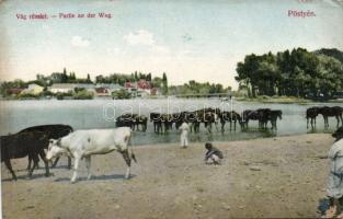 Pöstyén Vág riverside (fl)