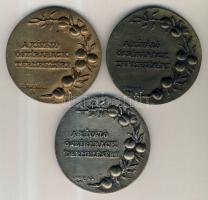 Solymári Valkó 1960-1961. "A kiváló őszibarack termelésért" adományozott 3db klf emlékérem (d=80mm) T:2