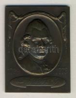 DN. Gotthold Ephraim Lessing 1729-1778. bronz emlékplakett (39x50mm) T:1-