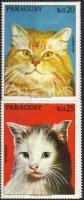 Macskák ívszéli nyolcascsík, Cats margin stripe of 8, Katzen Achterstreifen mit Rand