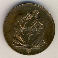 Német Birodalom / Weimari Köztársaság /Szászország 1923. "Emlékmű Szászország-Infláció" Br...