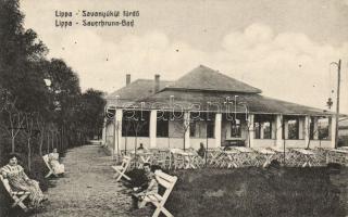 Lippa Savanyúkút spa