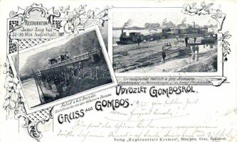 1899 Gombos steam ferry, locomotive transport (EB)