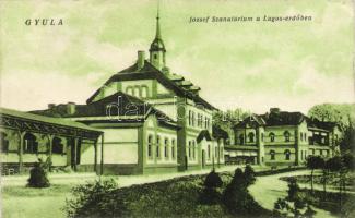 Gyula József Szanatórium