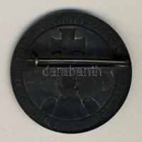 1934. "XXV. Országos Katolikus Nagygyűlés" kitűző T:2