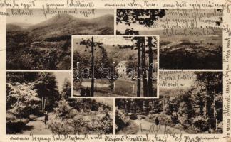 Diósjenő főerdész-lakkal (kis szakadás / small tear)