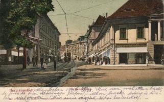 Nagyszeben Heltau street with the shop of Julius Wermescher