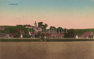 Mladé Buky (Jungbuch)