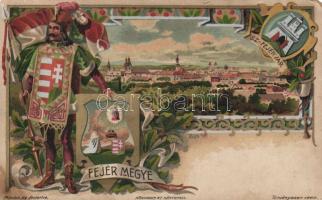 Székesfehérvár, Fejér megye litho