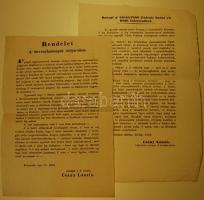 Csányi László erd. kormánybiztos 2 kiáltványa a szászokhoz és oláhokhoz 1849 márc-ápr.