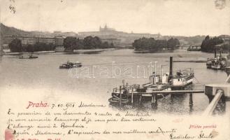 Praha steamship station (small tear)